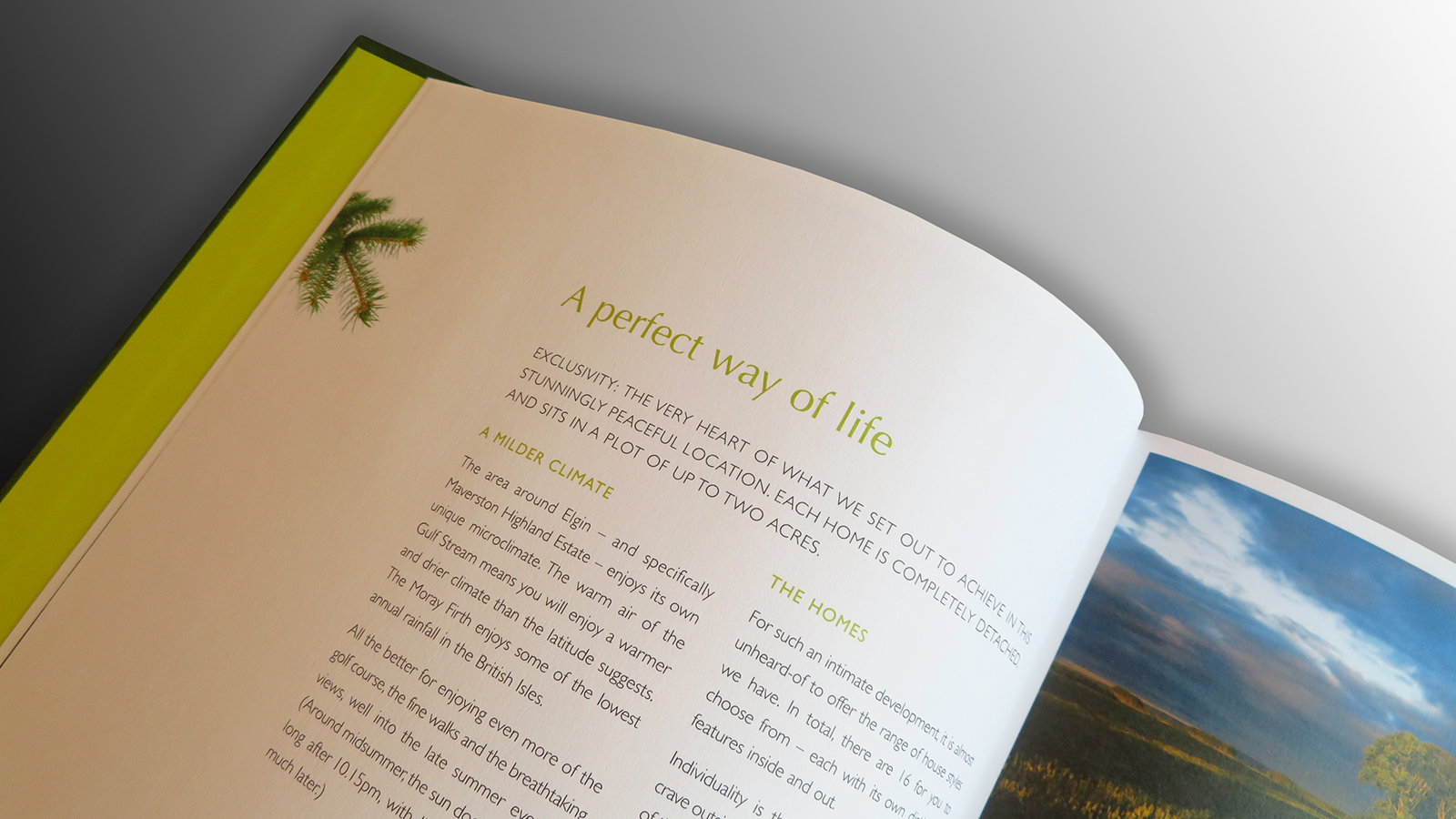 Maverston Highland Estate