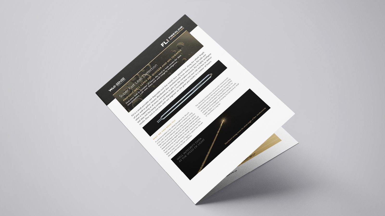 Well Sense Technology